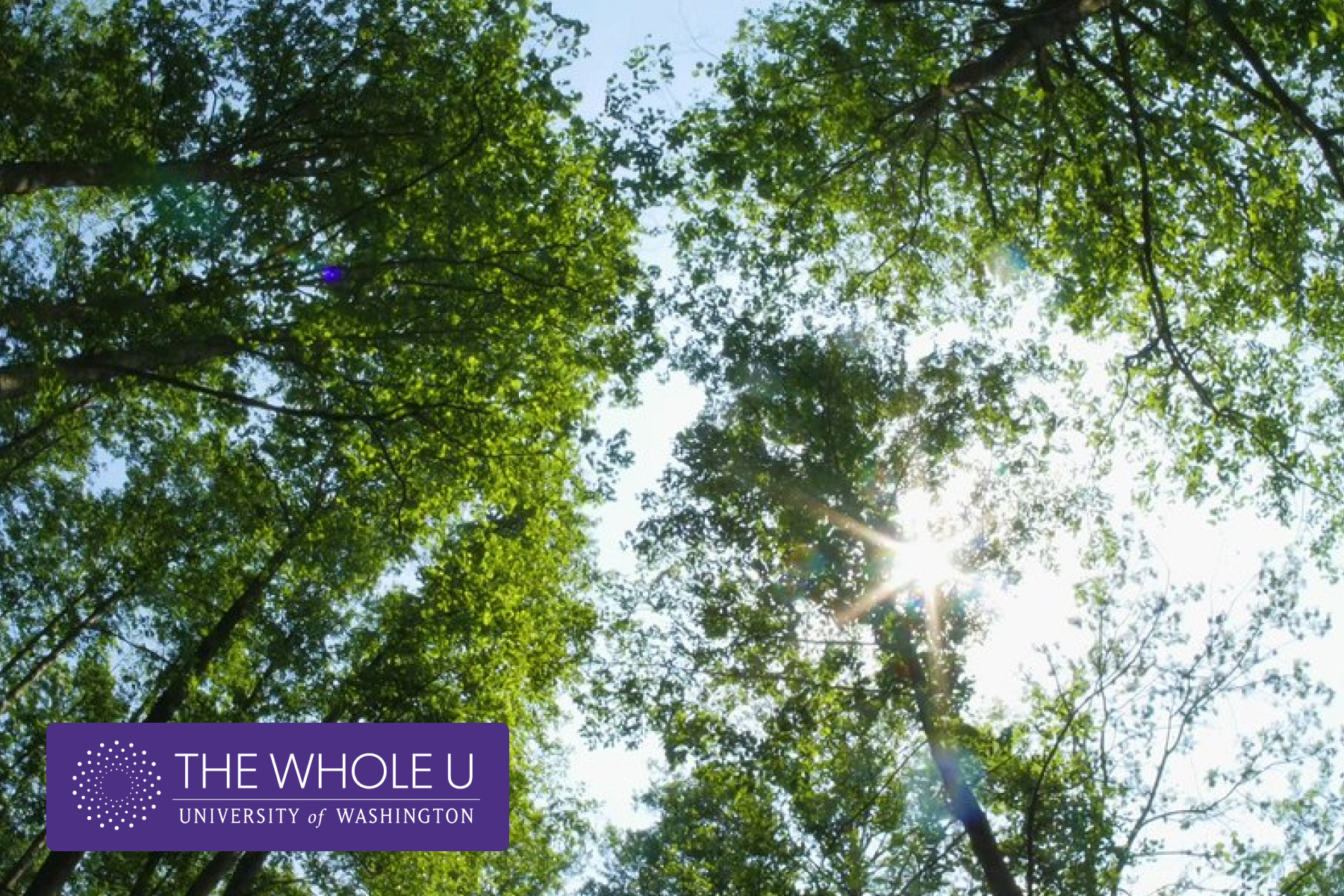 Mindfulness in the Bathing Routine: How to Practice Mindfulness During Bathing